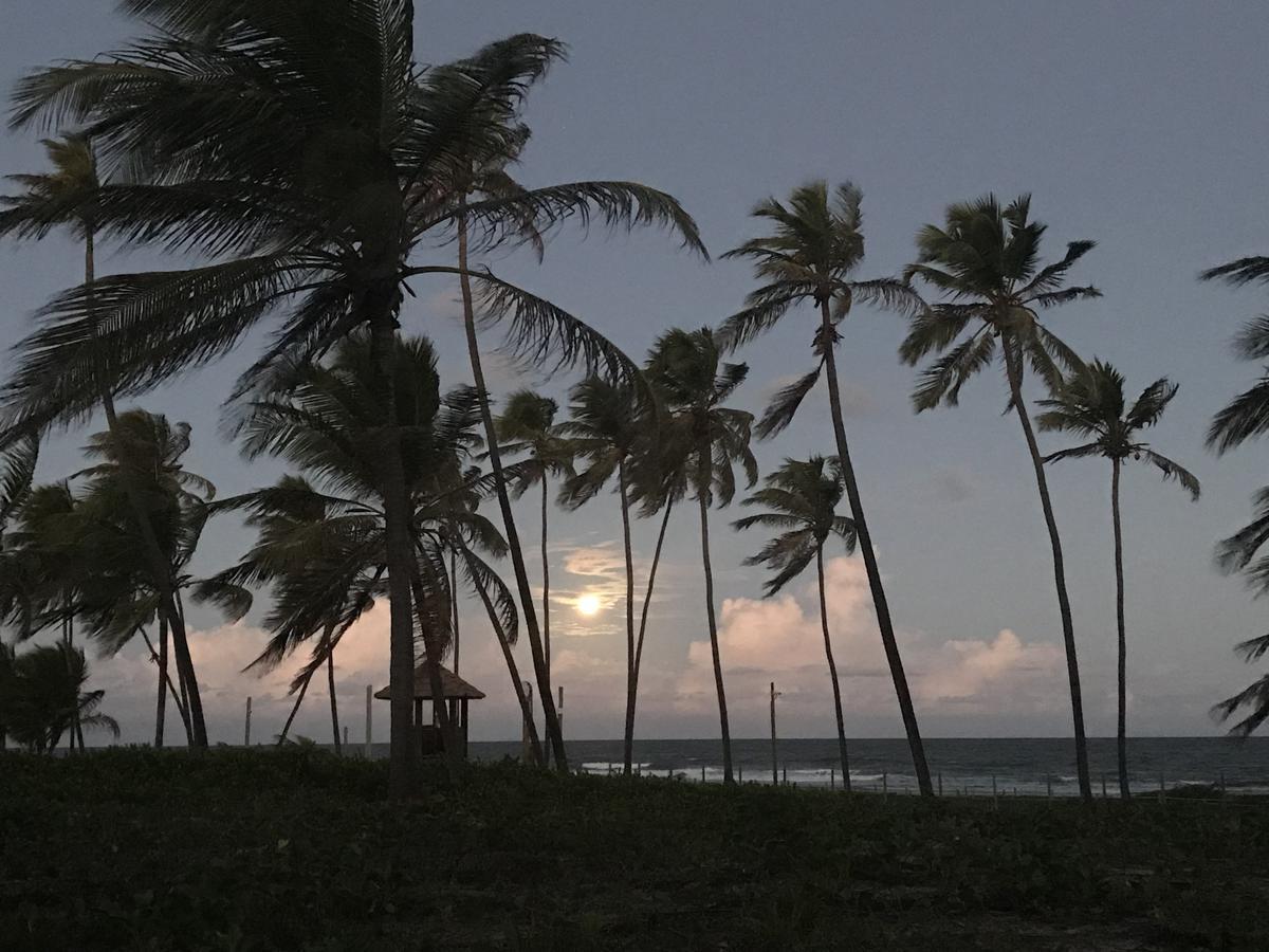 Vilage Em Praia Do Forte Bagian luar foto